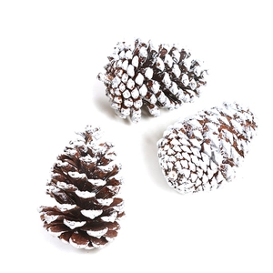 Macro detail of natural brown pine cones with white snow effect for DIY Christmas decor