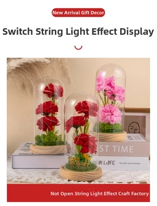 Preserved carnations in a glass dome with LED lights and a warm wooden base ornament