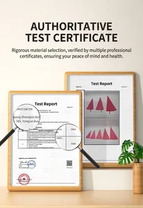 Detail view of the CTT test report showing LFGB food grade certification pass for icing tips