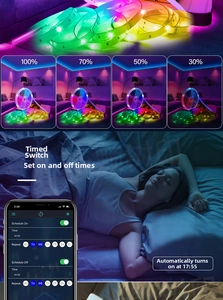 Detailed app interface showing 100% to 30% brightness control and timer settings for LED strips