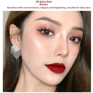 Close-up of matte red brown lipstick on lips with #5 Spicy Reddish Brown velvet finish