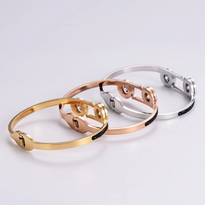 Titanium steel minimalist bangle in gold, rose gold and silver with black zircon accents