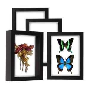 Shadow Box Display Frame Wood Deep Hollow Case For Specimens Dried Flowers Medals Photos Modern Simple Home Decor