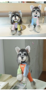 Detail of colorful ribbed knit pet sweater with stitched logo for small dogs
