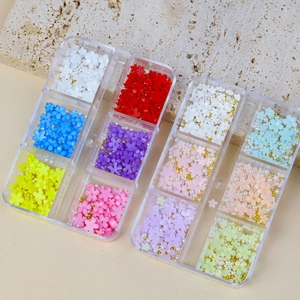 12-grid mixed nail art set with colorful camellia flowers and assorted pearls