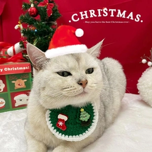Gros plan d'un chat portant un bavoir au crochet vert et un bonnet de Noël rouge tricoté