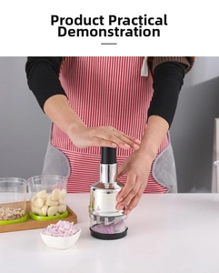 Dettaglio di un trita aglio manuale in acciaio inossidabile premuto a mano in cucina