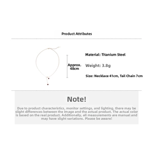 Detail showing rose gold stainless steel heart necklace dimensions of 41cm plus 7cm