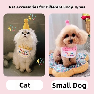 Detail showing HAPPY BIRTHDAY embroidery on pet bib and plush hat worn by cat and dog