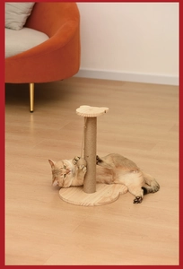 Macro detail of solid wood cat scratching post with sisal rope and a hanging ball