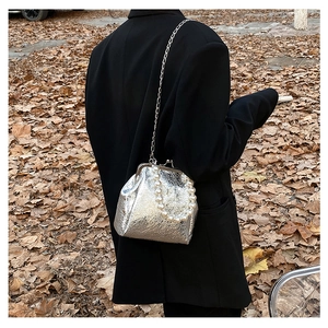 Silver metallic crossbody bag with pearl handle and chain strap shown in outdoor setting