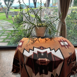 Detail of bohemian geometric throw blanket with fringe edge on a round table
