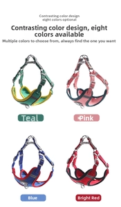 Close-up of adjustable dog harness with reflective nylon straps in four color combinations