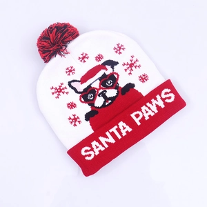 Λεπτομέρεια του κεντητού Santa Paws σε χριστουγεννιάτικο σκούφο με πολύχρωμα LED