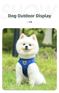 Close-up of blue mesh dog harness with paw print emblem on a white Pomeranian outdoors