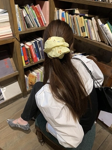 Dettaglio di elastico giallo con perline su capelli lunghi in una biblioteca
