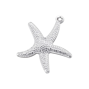 Vue détaillée du pendentif étoile de mer argenté avec surface métallique texturée