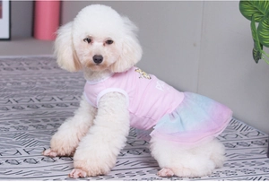 Pink dog dress with three-layer rainbow tulle skirt on a white poodle, top view