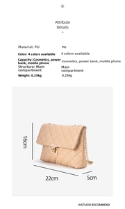 Detailed size and capacity view of quilted chain crossbody bag with 22x16x5cm dimensions