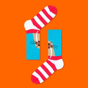 Flat lay of blue crew socks featuring walrus patterns and red striped cuffs on orange background