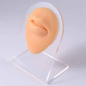 Silicone lip piercing training model in skin tone with transparent acrylic stand base