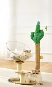 Macro shot of cactus-shaped scratching post and clear acrylic space capsule cat bed