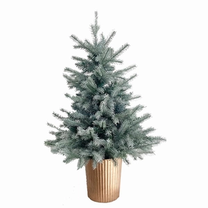 Miniature blue-green frosted Christmas tree in a vintage gold ribbed flower pot base