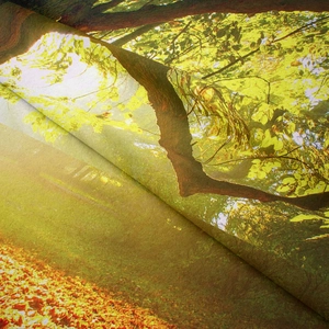 Detailed close-up showing high-quality fabric texture and forest print on wall tapestry