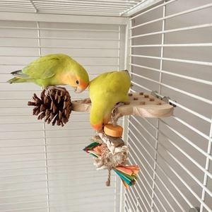 Parrot wooden platform with natural pine cone and colorful chewing toy for bird cages