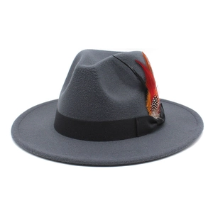 Elegant grey wool fedora hat with black ribbon and colorful feathers on white background