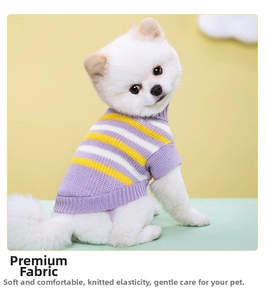 Detail of high-neck knit pet sweater featuring purple and yellow stripes on a dog