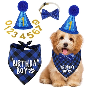 Close-up of blue sequin dog birthday hat, bowtie, and plaid bandana with interchangeable digits