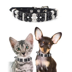 Detail of double-row pearl pet collar with rhinestones on a small cat and dog