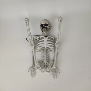 Detailed full body plastic skeleton model with black hanging rope for Halloween decor