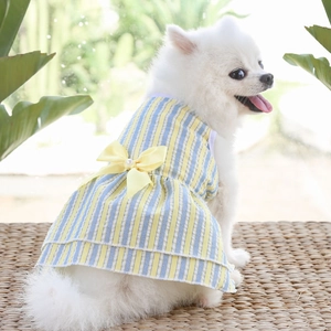 Detail of blue and yellow striped pet dress with yellow bow and pearl for small dogs