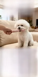 Close-up of durable knitted snake pet toy showing texture and interaction with dog