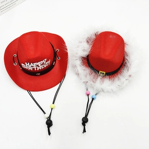 Mini chapeaux de cowboy rouges pour animaux avec lettrage Happy Birthday et plumes