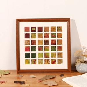 DIY autumn leaf specimen frame with 36 grid natural dried maple and ginkgo leaves