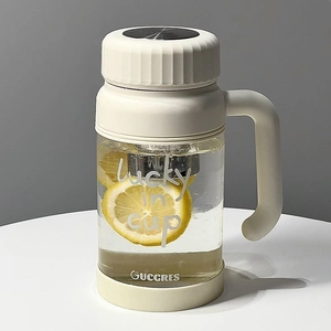 Minimalist high borosilicate glass tea mug with handle, lid, and metal tea infuser