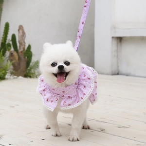 Close-up of lavender floral pet harness with white lace trim on a white Pomeranian