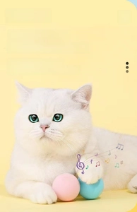 Close-up of smart interactive cat toy ball simulating animal sounds when touched by cat