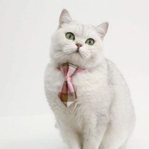 Close-up of pink and brown plaid pet bowtie on a cat with adjustable fabric strap details