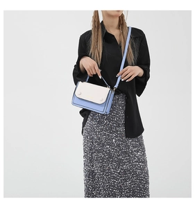 Detailed shot of a blue and white contrast crossbody bag with a gold metal buckle