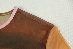 Detail of pink hemmed high collar and sheer mesh patchwork fabric on a vintage dress