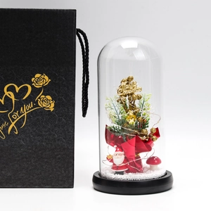 Christmas glass dome with Santa Claus, LED lights, and black 'Just for you' gift box