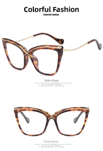 Detailed side and front view of cat eye glasses frame in tortoiseshell and gold metal