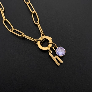 Detail of titanium steel gold paperclip chain necklace with lowercase h and purple gem.