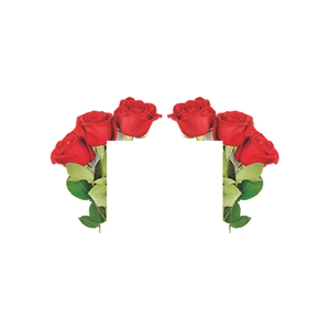 Decorative red rose wall sticker frame with green leaves for home living room decor