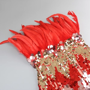 Detail of evening dress showing red feathers and golden sequins with metallic finish