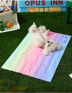 Alfombrilla refrescante arcoíris para mascotas con un perro pequeño sobre el césped